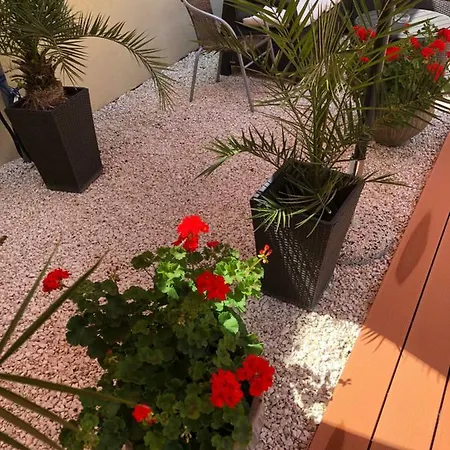Mosoly Apartment Szeged