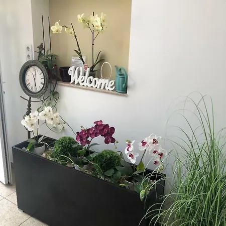 默苏利酒店 塞格德